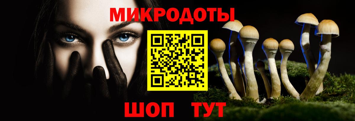 Калач-на-Дону  Галлюциногенные грибы Psilocybine cubensis  Вход с VPN 